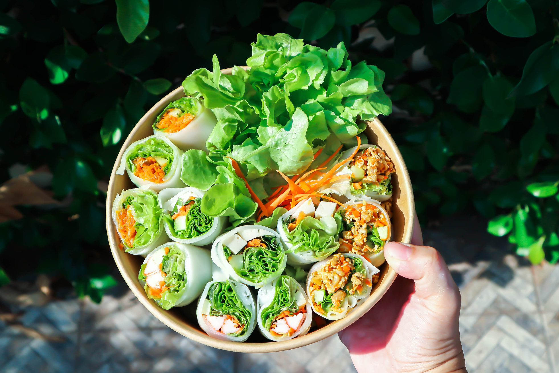 vegetable rolls or noodle rolls or rice noodle rolls or Vietnamese rolls